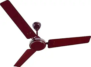 Infinizy 3 Blade Lustre Brown Color Ceiling Fan For Home, Office, Balcony etc