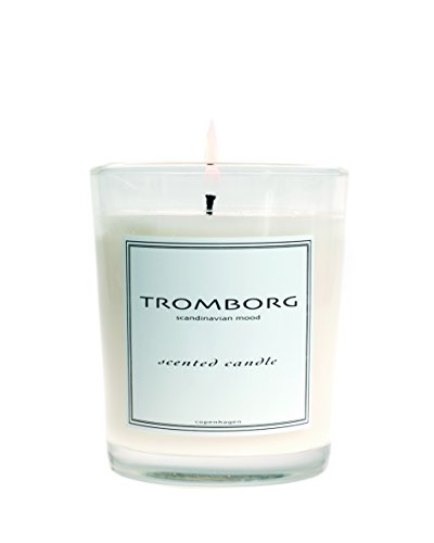 TROMBORG Scandinavian Mood Scented Candle, Menthe 180 g