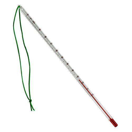 Tee Thermometer Glas mit Schnur und Kunststoff Hülle . 24 cm Teethermometer Temperaturbereich bis 110 °C . Teewasser , Wasser , Glasthermometer