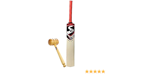 sg phoenix xtreme bat