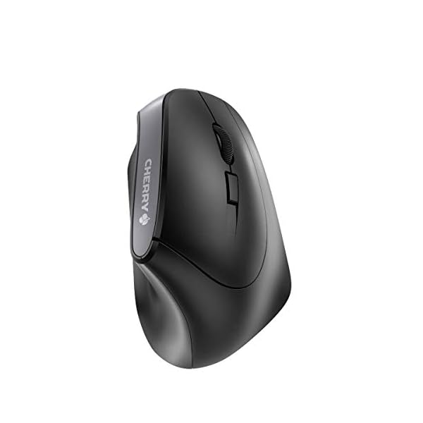 CHERRY MW 4500, Schwarz, Antrazit, JW-4500