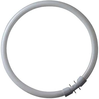 Circular 55w Fluorescent T5 Tube 2GX13 Daylight White 6500k 306mm Diameter - View #12