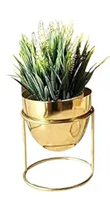 Plant World Decor Modern Plant Stand- Set with Tall Metal Stand, Decorative Standing Flower Succulent Pot Holder, Indoor Outdoor Terrace Patio Home Decor (Gold)