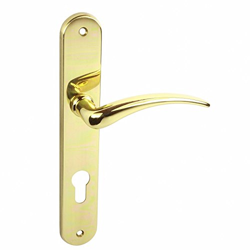 Preisvergleich Produktbild DOMINO TÜRGRIFF MILENA M1 MESSING GLANZ PZ-PROFILZYLINDER 72