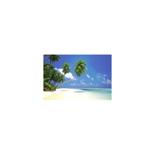 Preisvergleich Produktbild Paysage - Poster Maldive Morning