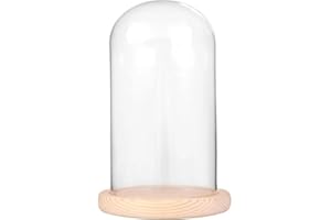 BDMYFNSENERETY Decorative Clear Glass Dome Glass Dome for DIY Snow Globes Table Decoration Bell Display Case Wooden Base (Natural Color, 9x20cm)
