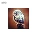 Produktbild Gracorgzjs 30 x 30 cm Eule Schmetterling Kunstharz Runde Diamanten Stickerei Gemälde Kreuzstich Home Wall Art Decor X270