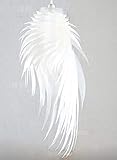 ==> Stromversorgung: Ac 5151BuyWorld Lampe Moderne Pendelleuchte Romantische Engels-Flügel Pvc Feder Hängende Lichter Schlafzimmer Restaurants Bar Design Lampe Pendelleuchten Top Qualität {Weiß}