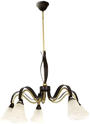 LED pendant lamp pendant lamp Zillo Luster rust-brown E14 5-burner glass Antik