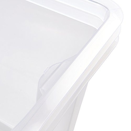 Multi-Box XXL 52x43x26cm. Transparent - 7