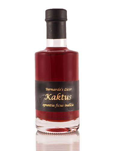Preisvergleich Produktbild Bernardos Kaktuslikör