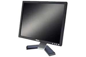 DELL 19in XGA, FLAT MONITOR CHEAP TFT/LCD COMPUTER PC LAPTOP SCREEN VGA/DVI Ports GRADE A (Renewed)