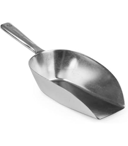TeamFar Pelle à glace en acier inoxydable, petite pelle à bonbons en métal pour cuisine, bar, fête, mariage – 170 g