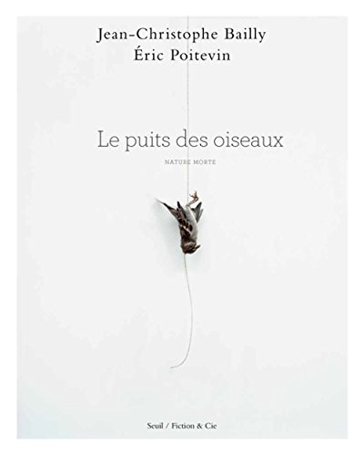 Download Le Puits des oiseaux. Nature morte Download Le Puits des oiseaux. Nature morte