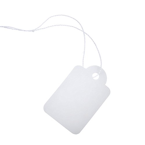 Etiquetas de Precio Etiquetas Blancas para Marcar Precio con Hilo Colgante  500 Paquetes  35 x 22 mm