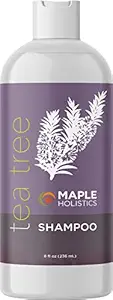 Tea Tree Oil Shampoo - Pure and Natural for Women and Men - Anti Dandruff Haircare - Safe for Color Treated Hair - USA Made By Maple Holistics
