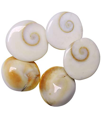 108 PC gomti Chakra 1 cm (White)