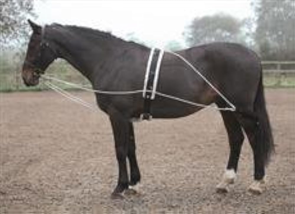 Шлея под хвост попала что это. Шлея пессоа. Шлея под хвост попала что это. Шлея под хвост попала что это. Шлея пессоа для лошади.
