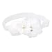 Baby Girl Flower Headband Hair Band Photography Headwear (White)
