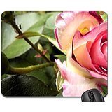Preisvergleich Produktbild Rot Rose Mauspad, Mousepad (Blumen Mauspad)
