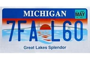 OPO 10 - USA car LICENSE PLATE - 30x15 cms metal replica: MICHIGAN (C26)