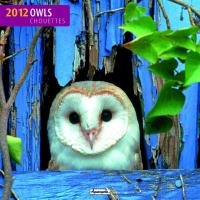 Eulen / Owls 2012 Broschürenkalender