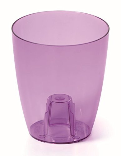 Maceta transparente calidad prémium ideal para orquídeas 2 tamaños 6 colores