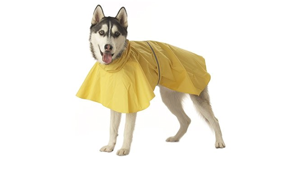 dog raincoat petco