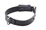 Strict Leather Luxury Locking Collar
