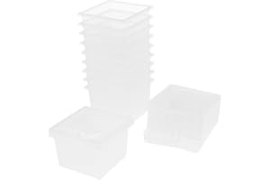 Fenteer 10x Reptilienbehälter Insektenbox Tragbar Durchsichtig Modern Terrarium für Reptilien