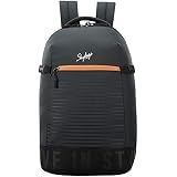 Buy Skybags Beatle Pro 27 Ltrs Grey 