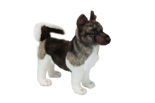 Preisvergleich Produktbild Akita Inu (japanisch Spitz) 27 cm Réf: 6143