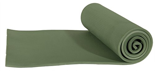 ALPS Mountaineering Alpes Alpinismo Alfombrilla de Espuma para Camping