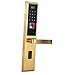 Produktbild Homyl Elektronisches Türschloss Fingerabdruck Codeschloss Türöffner mit Touchscreen, per Smartphone / Karten / Schlüssel zu Öffnen - Gold