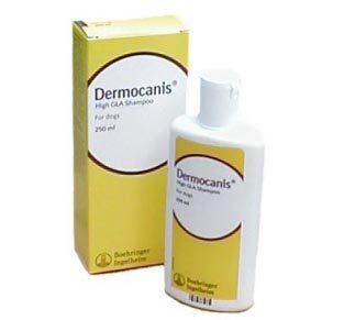 Dermocanis-High-GLA-Shampoo-250ml-Bottle-Single-Item