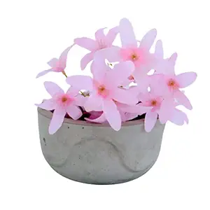 HOME FURNISHING & HANDLOOM Premium Bowl Cement Flower Pot | Planter (Pack of 1)