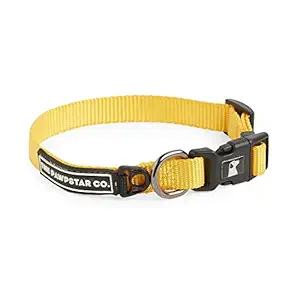 The Pawpstar Co Dog Collar by Aditya Birla New Age / Dog Walking Nylon Collar (Sunflower Yellow)