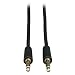 Produktbild Mini Stereo Audio Cable for Microphones. Speakers and Headphones 3.5mm (M/M) - 10 ft.