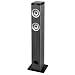 Innovative Technology 40-in Tall Tower Bluetooth Stereo System with Wood Finish RS.13699.00