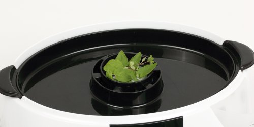 Rommelsbacher DGS 855 – Dampfgarer, 825 W, weiß / schwarz - 5