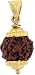 Shiv Ram Jyotish Kendra certified six face rudraksha pendant with free gift RS.499.00