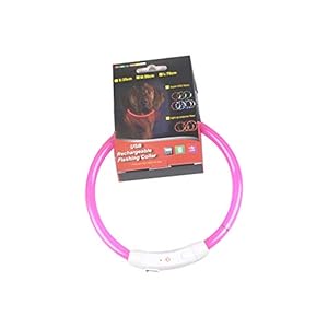Runfon Collar de Perro Luminoso LED USB Recargable Collar de Seguridad de Nailon para Perro Gato Animales