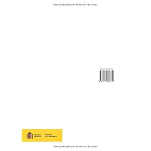 Municipio constitucional