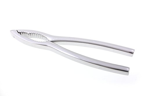 Nussknacker 16,5 cm