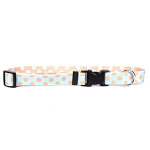 Yellow Dog Design Blue and Melon Polka Dot Dog Collar 3/8