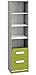 Produktbild Kinderzimmer - Regal Renton 06, Farbe: Platingrau/Weiß/Grün - Abmessungen: 199 x 50 x 40 cm (H x B x T), mit 2 Schubladen und 4 Fächern