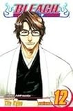 Bleach 12 by 