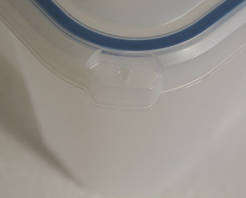 Multifunktionsbox Scuba M transparent - 6