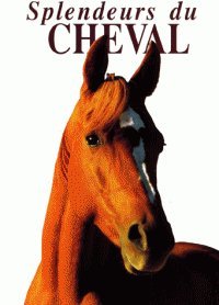 couverture de : Splendeurs du cheval