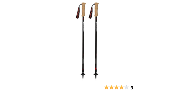 mountainsmith hiking pole
